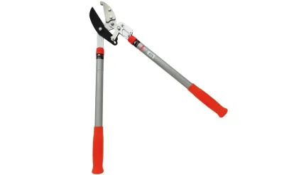 ΨΑΛΙΔΙΑ ΚΟΡΜΩΝ AMEGO ΜΕ ΠΤΥΣΣΟΜΕΝΗ ΛΑΒΗ