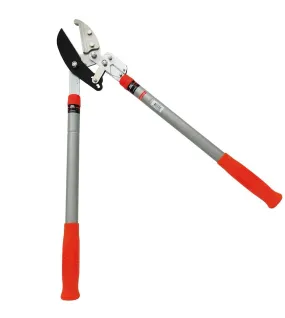 ΨΑΛΙΔΙ ΚΟΡΜΩΝ AMEGO 1024 ΜΕ ΚΑΣΤΑΝΙΑ ΚΑΙ ΠΤΥΣΣΟΜΕΝΗ ΛΑΒΗ ΨΑΛΙΔΙ ΚΟΡΜΩΝ AMEGO 1024 ΜΕ ΚΑΣΤΑΝΙΑ ΚΑΙ ΠΤΥΣΣΟΜΕΝΗ ΛΑΒΗ