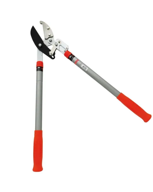 ΨΑΛΙΔΙ ΚΟΡΜΩΝ AMEGO 1024 ΜΕ ΚΑΣΤΑΝΙΑ ΚΑΙ ΠΤΥΣΣΟΜΕΝΗ ΛΑΒΗ ΨΑΛΙΔΙ ΚΟΡΜΩΝ AMEGO 1024 ΜΕ ΚΑΣΤΑΝΙΑ ΚΑΙ ΠΤΥΣΣΟΜΕΝΗ ΛΑΒΗ